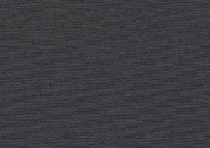 Toile de store banne Dickson MAX2 U171 120 Carbone