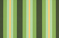 DICKSON ORCHESTRA 8615 CAPRI GREEN