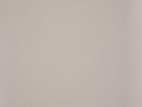 DICKSON ORCHESTRA MAX U387 ARGILE