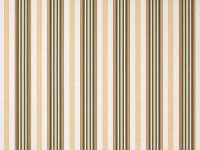 DICKSON ORCHESTRA 6172 DAVOS VERT